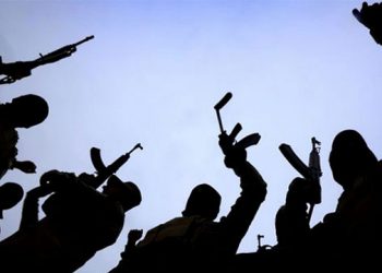 Awal Mula Gerakan Kelompok Kriminal Bersenjata (KKB) dan Aksi Brutal Yang Mencoreng Warga Asli dan Adat Papua