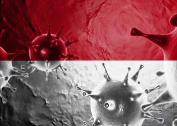 Corona RI 25 Januari: 4.878 Kasus Baru, 869 Sembuh, 20 Meninggal