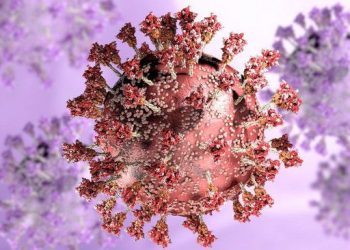 Kasus Corona 23 Januari Bertambah  2.925, Sembuh 712, Meninggal 14