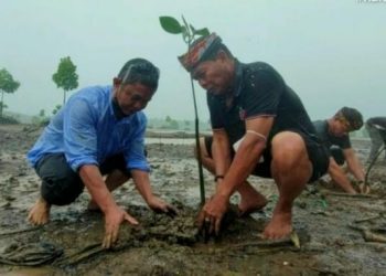 Persemaian permanen modern mangrove pertama di Indonesia akan dibangun