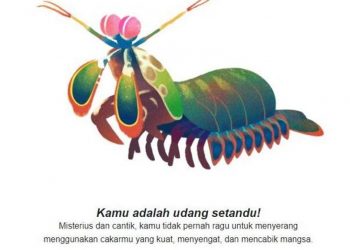Lagi Viral! Berikut Link dan Cara Main Kuis Hari Bumi 2022 di Google