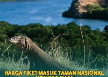 Harga Tiket Masuk Pulau Komodo Mencapai Rp 3,75 juta