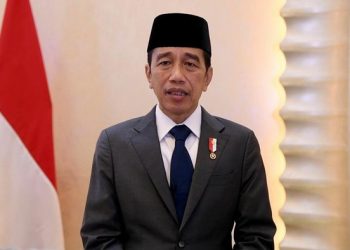 Jokowi Teken UU Pembentukan 3 Provinsi Baru Papua