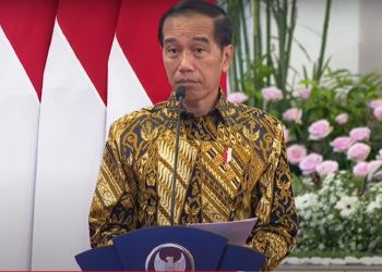 Jokowi: Indonesia Pernah Masuk dalam 5 Negara Rentan Terpuruk