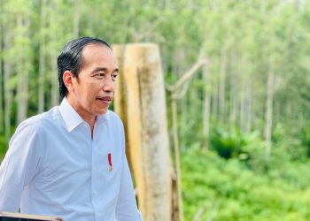 Presiden Joko Widodo: Pembangunan IKN Tetap Lanjut Walaupun Ganti Presiden