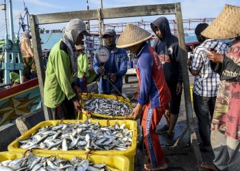 Mendorong Pertumbuhan Ekonomi Melalui Potensi Maritim