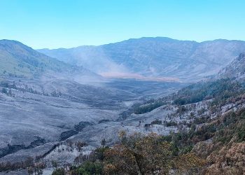 Kebakaran Bromo Merugi Hingga Rp 89,76 Miliar