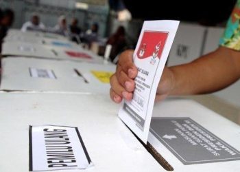 Pemilu Damai/Inanegeriku