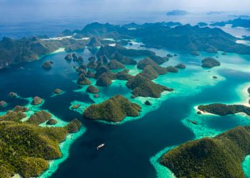 Cinta Alam Indonesia: Peran Penting Komunitas dalam #SelamatkanPlanetKita