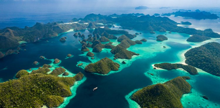 Cinta Alam Indonesia: Peran Penting Komunitas dalam #SelamatkanPlanetKita