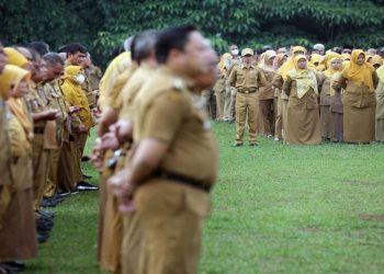 pendaftaran cpns 2024