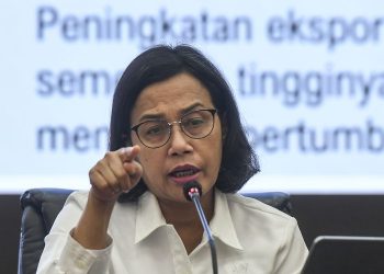 Sri Mulyani Bertemu Prabowo, Bahas Keuangan Negara dan Kembali Ditunjuk sebagai Menteri Keuangan