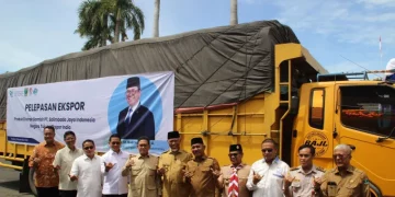 Ekspor Gambir Sumatra Barat