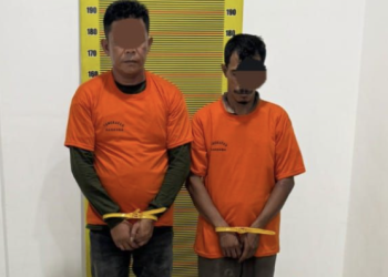 Dari 52 Kilogram hingga Ratusan Gram: Kronologi Pengungkapan Jaringan Ganja oleh Polda Sumut