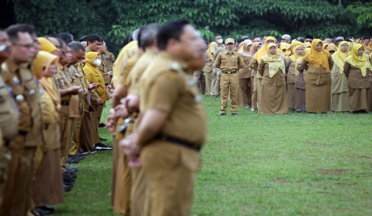 pendaftaran cpns 2024